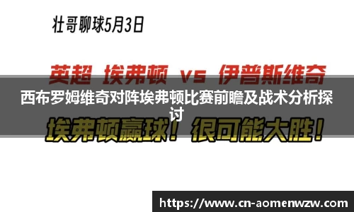 西布罗姆维奇对阵埃弗顿比赛前瞻及战术分析探讨